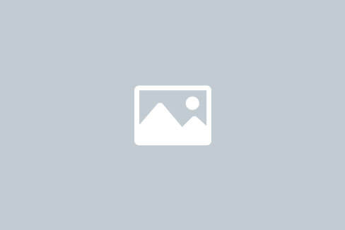 71 Pickering Dr